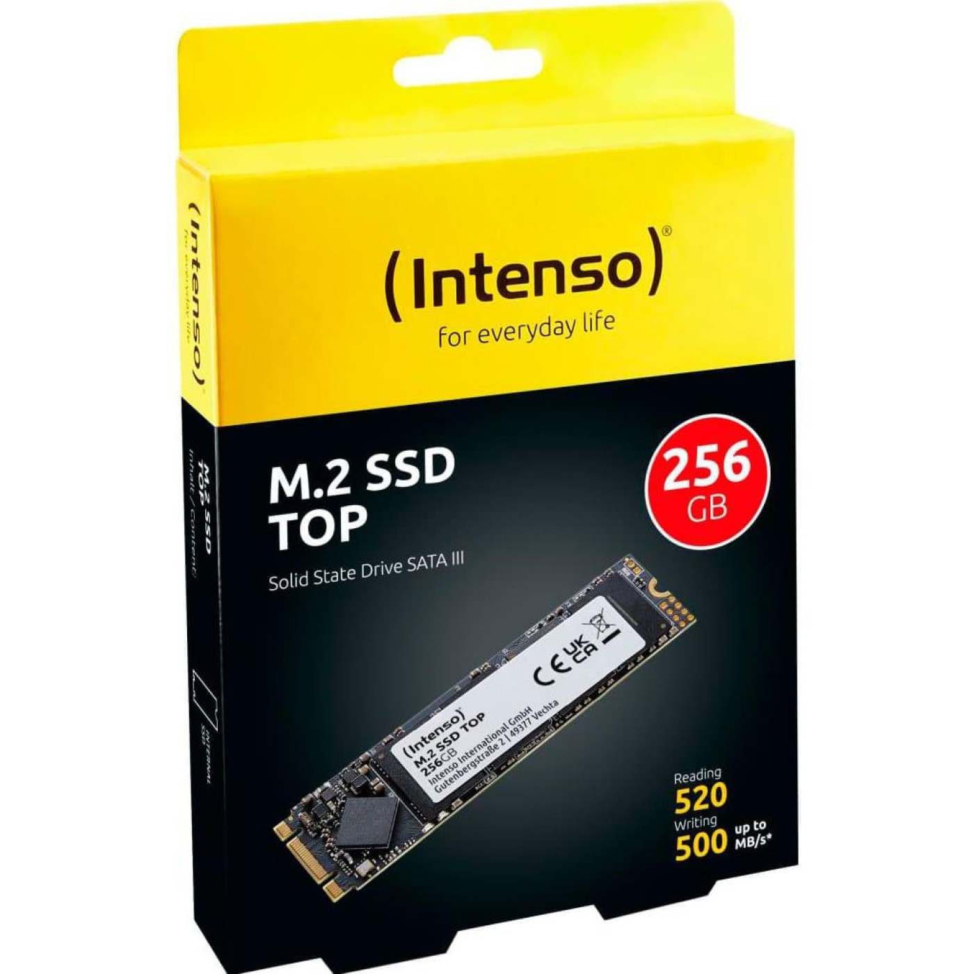 Накопичувач SSD Intenso m.2 sata 256GB Top PerformanceSATA III 3D NAND SLC (3832440)
