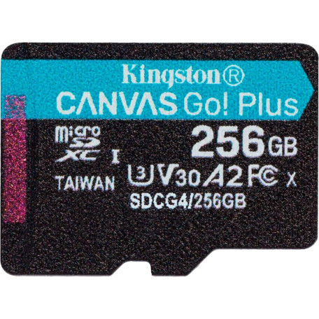 Карта пам'яті Kingston microSD 256GB C10 UHS-I U3 A2 V30 R200/W160MB/s (SDCG4/256GBSP)