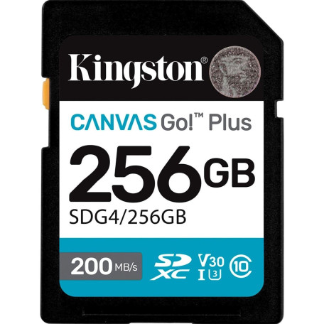 Карта пам'яті Kingston SD 256GB C10 UHS-I U3 V30 R200/W160MB/s (SDG4/256GB)