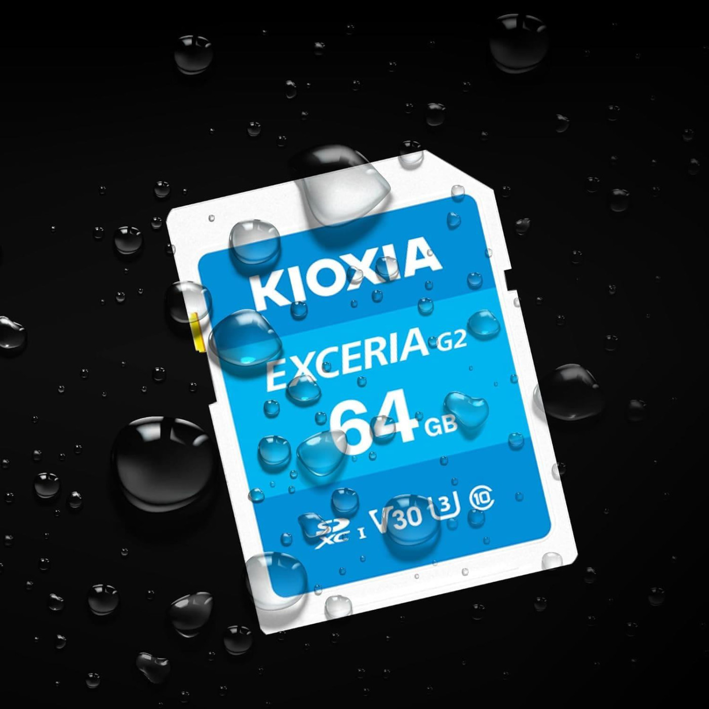 Карта пам’яти KIOXIA EXCERIA G2 SDXC 64GB U3 V30 (LNEX2L064GG4)