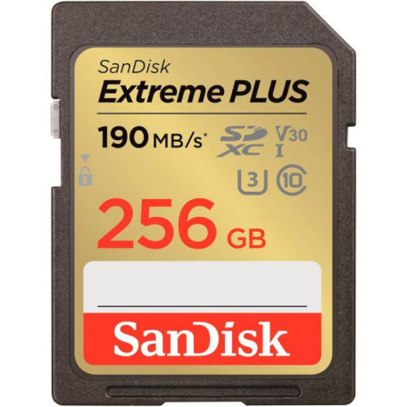 Карта пам'яті Sandisk 256GB SDXC Extreme PLUS Memory Card + 2 years Rescue (SDSDXWV-256G-GNCIN)