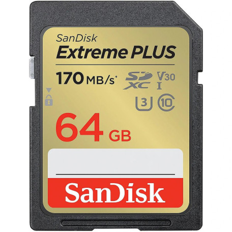 Карта памяти Sandisk 64GB SDXC Extreme PLUS Memory Card + 2 years Rescue (SDSDXW2-064G-GNCIN)