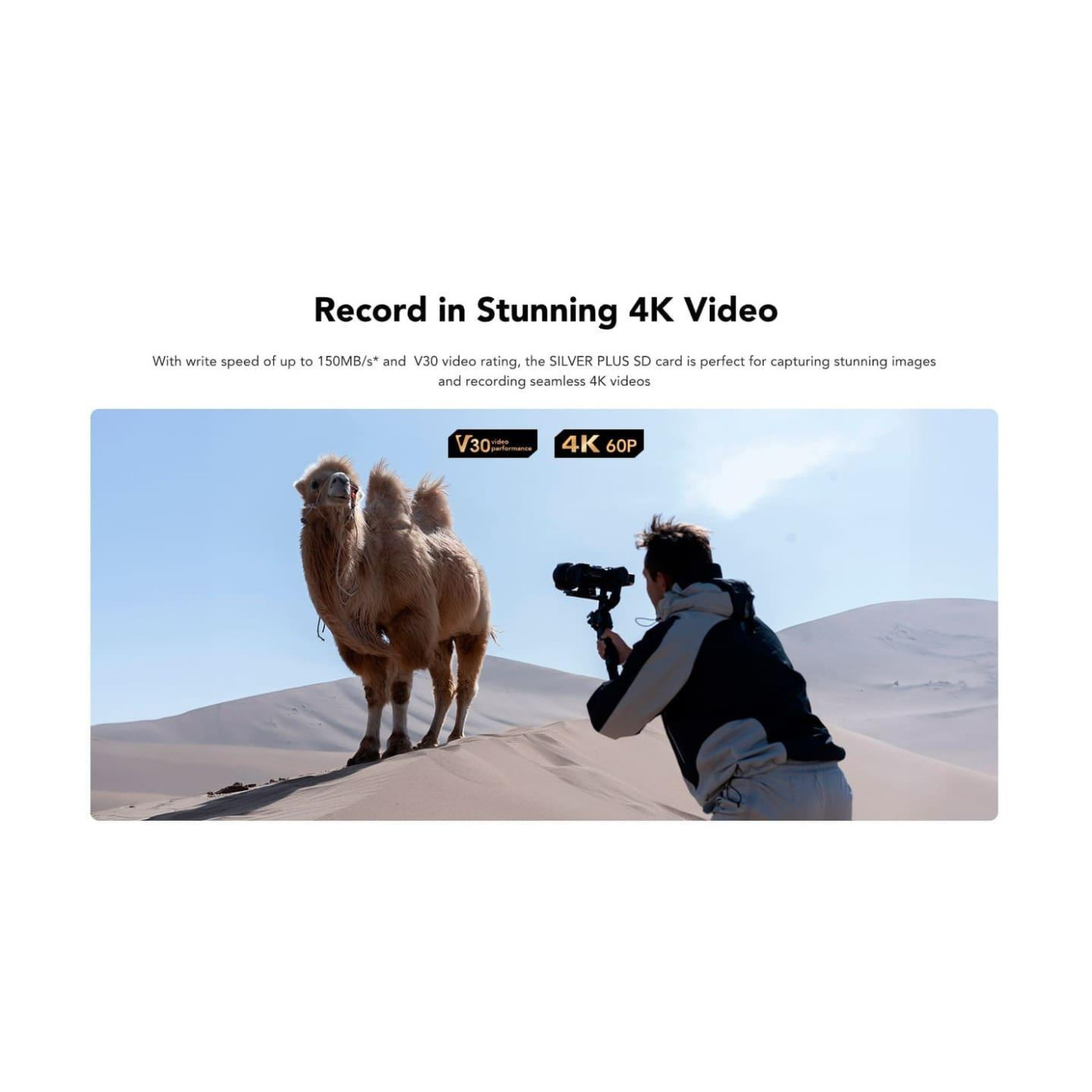 Карта пам’яти SDXC 64GB UHS-I LSDSIPL064G-BNNNG LEXAR