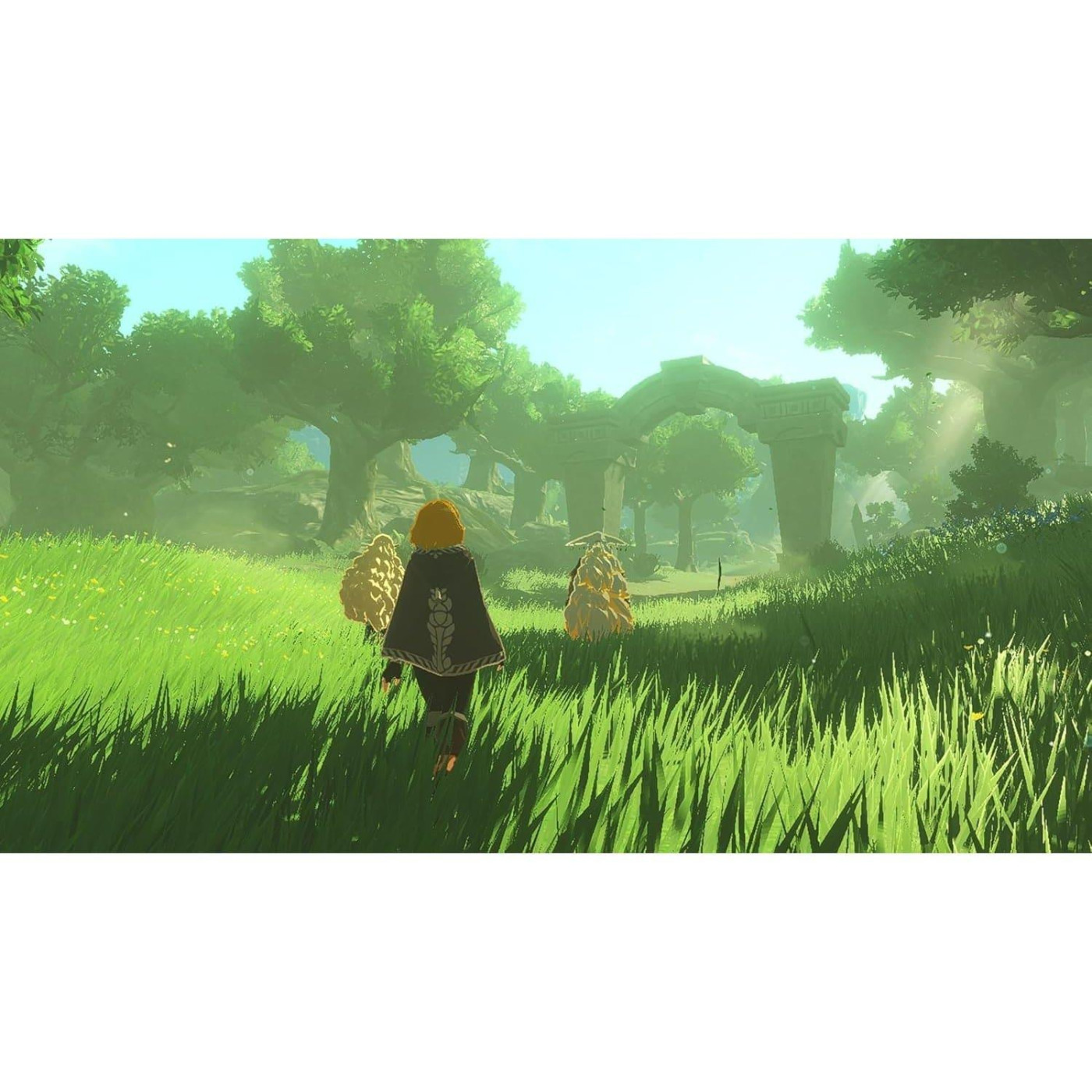 Игра Switch 2 Hyrule Warriors Age of Imprisonment (0045496313500)
