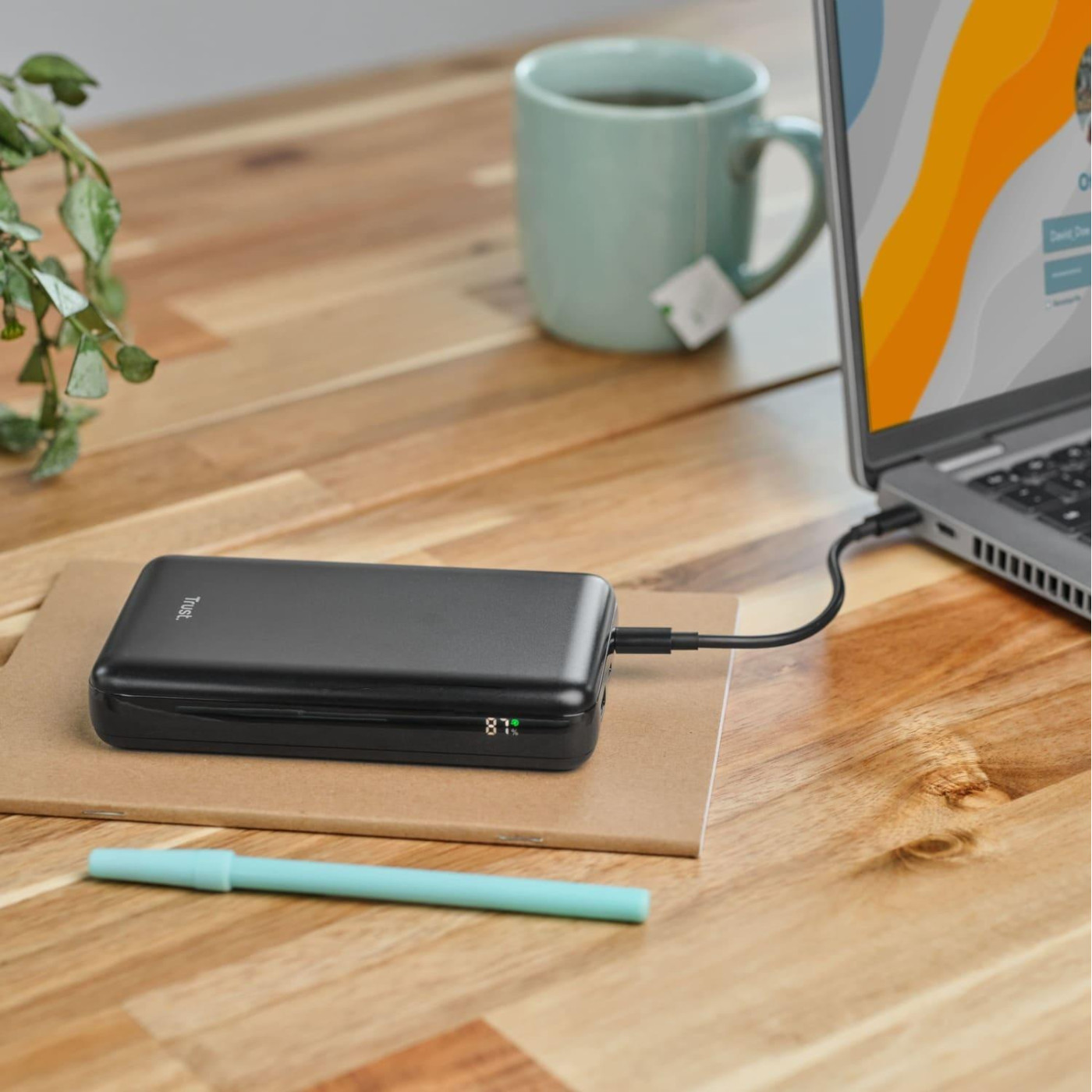 Павербанк Trust Black 20 000 mAh / 100 Вт (25240_TRUST)