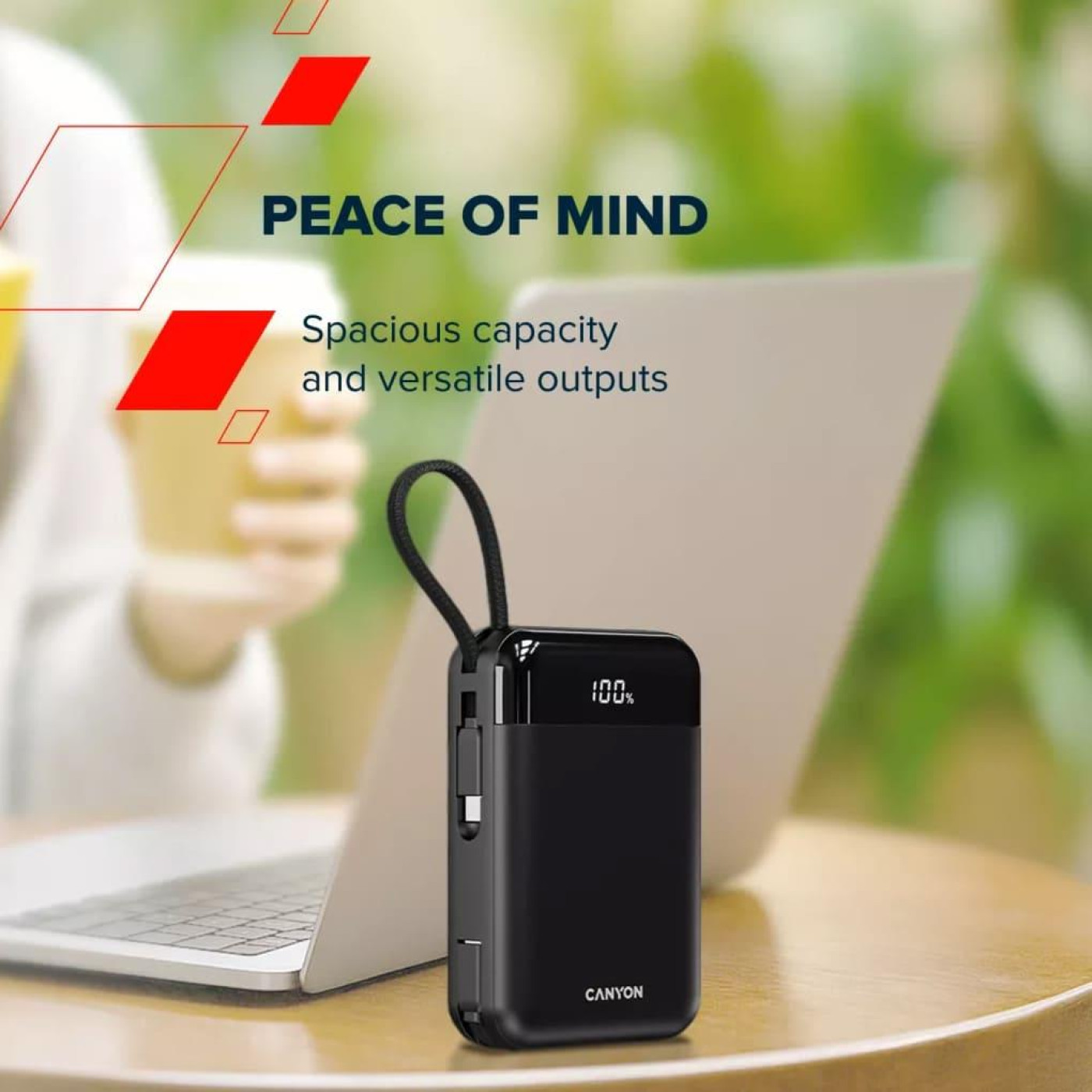 Павербанк Canyon Black 20 000 mAh / 15 Вт (CNS-CPB204B)
