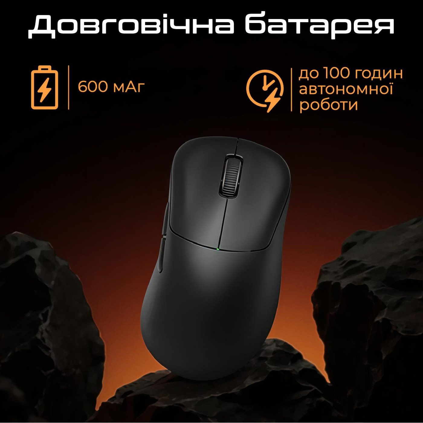 Миша RAWM ER21Pro Black (ER21pro.black)