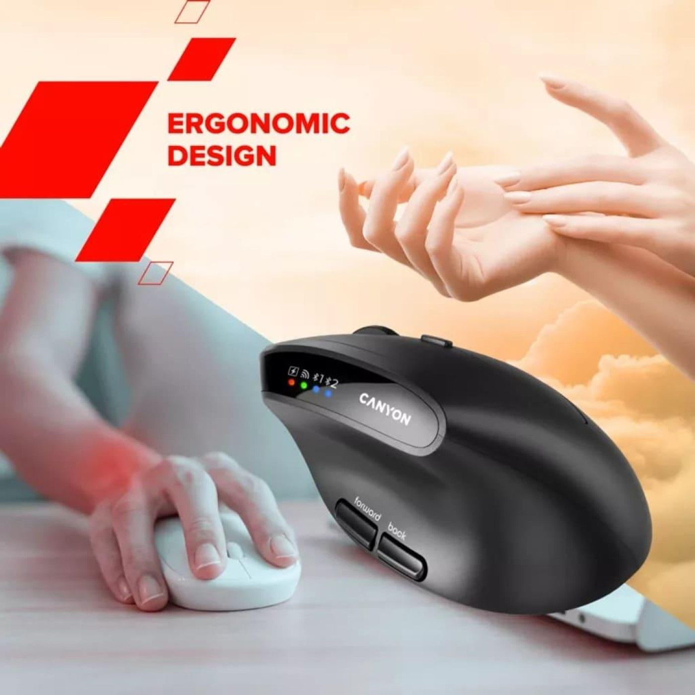 Мышь Canyon mouse MW-25 Ergonomic LED AA Dual mode Wireless Black (CNS-CMSW25)