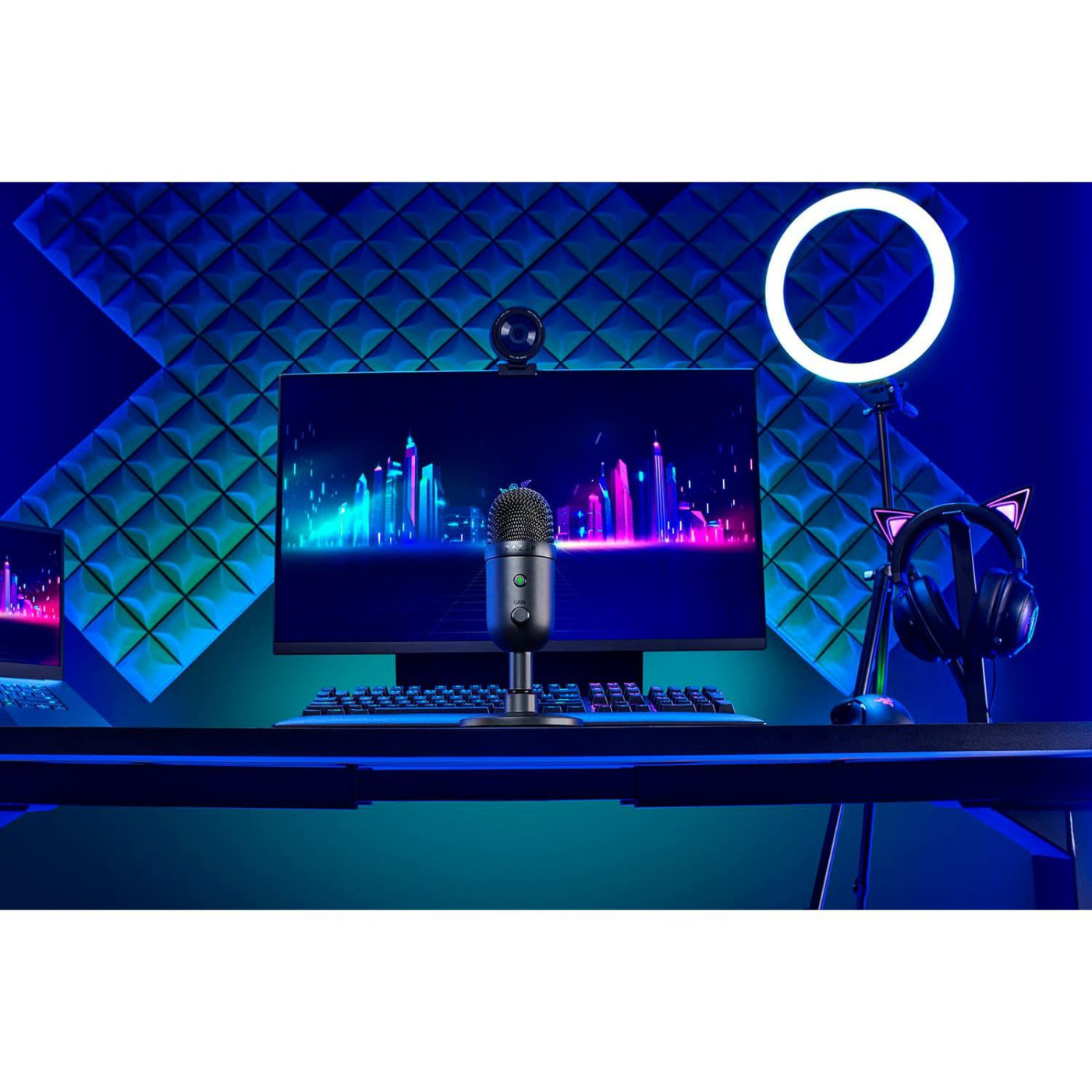 Мікрофон Razer Seiren V2 X (RZ19-04050100-R3M1)