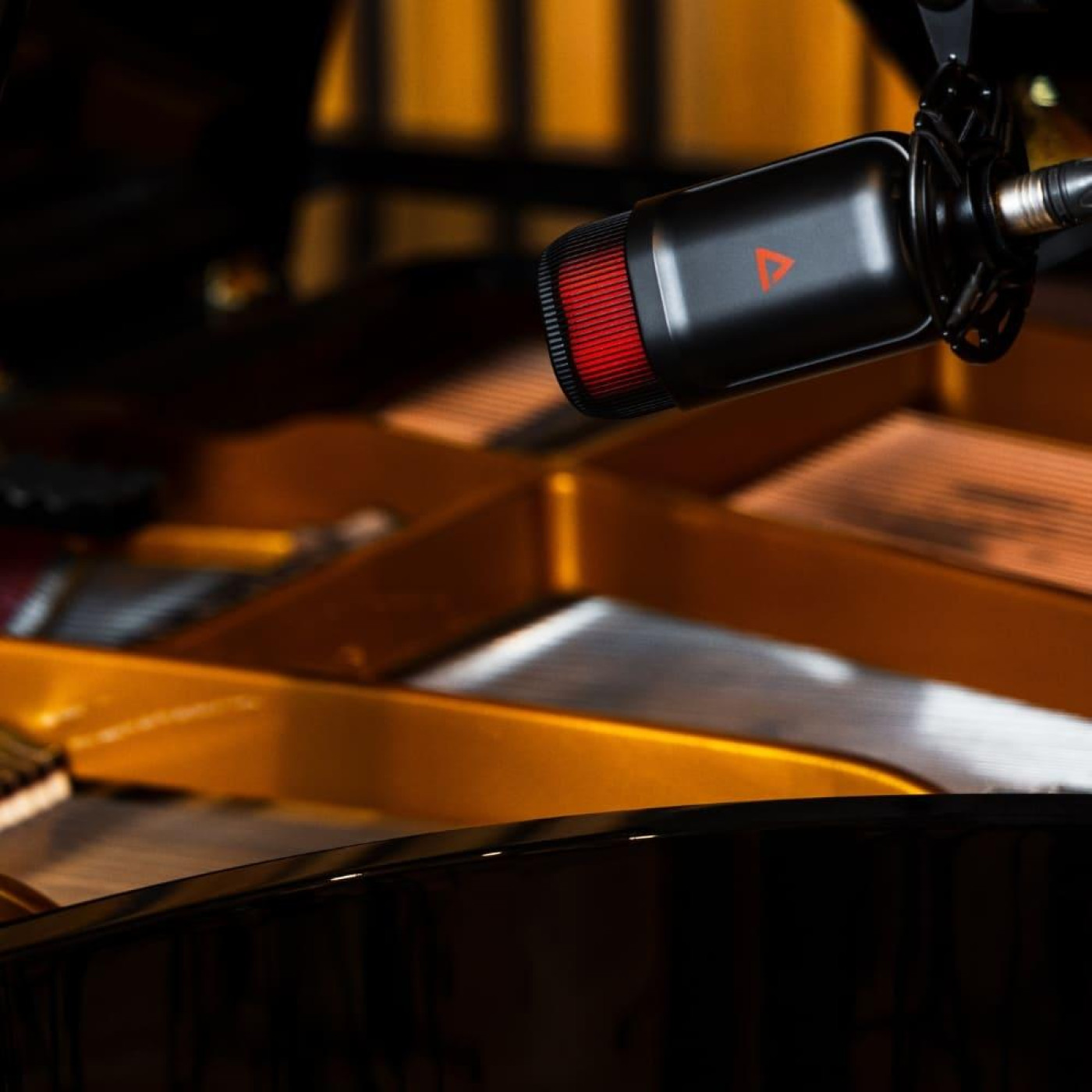 Микрофон Thronmax MDRILL ZONE M5 Чорний (M5THRONMAX)