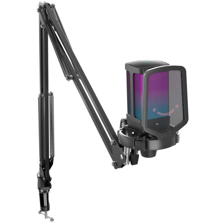 Мікрофон Fifine Q6T Black (Q6T)