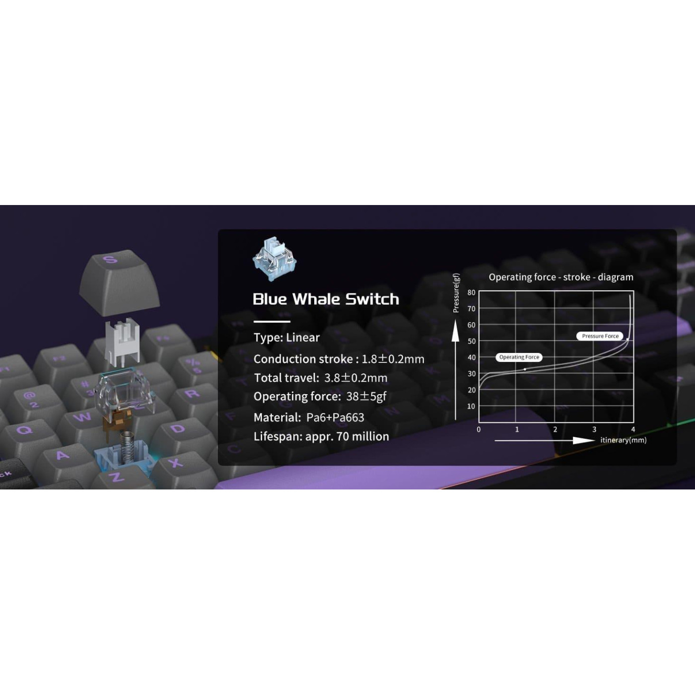 Клавиатура MageGee Light 87 RGB Blue Whale Switch Wireless (6971969728721-UA) Dark Purple (G-000003945)