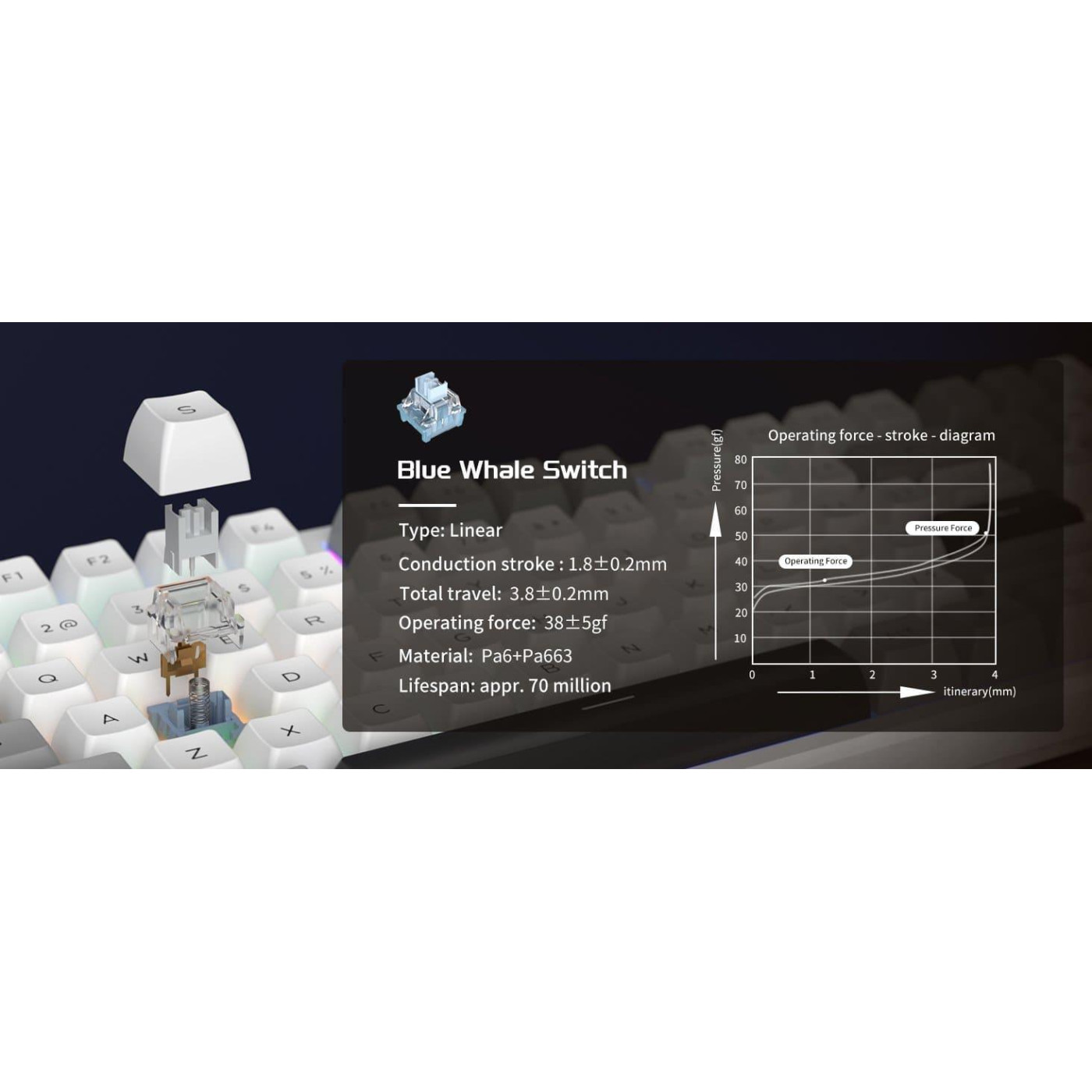 Клавиатура MageGee Light 87 RGB Blue Whale Switch Wireless (6971969728431-UA) Star White (G-000003944)