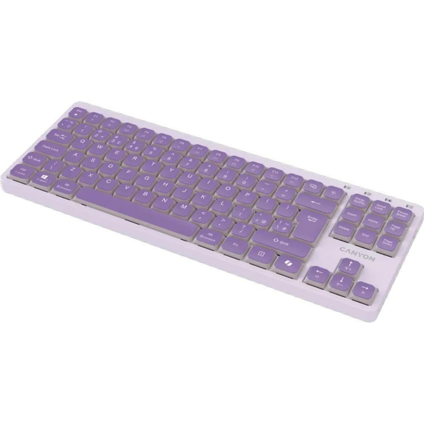 Клавіатура Canyon Keyboard OnType 10 Low Profile EN Wired Violet (CNS-HKB10V)