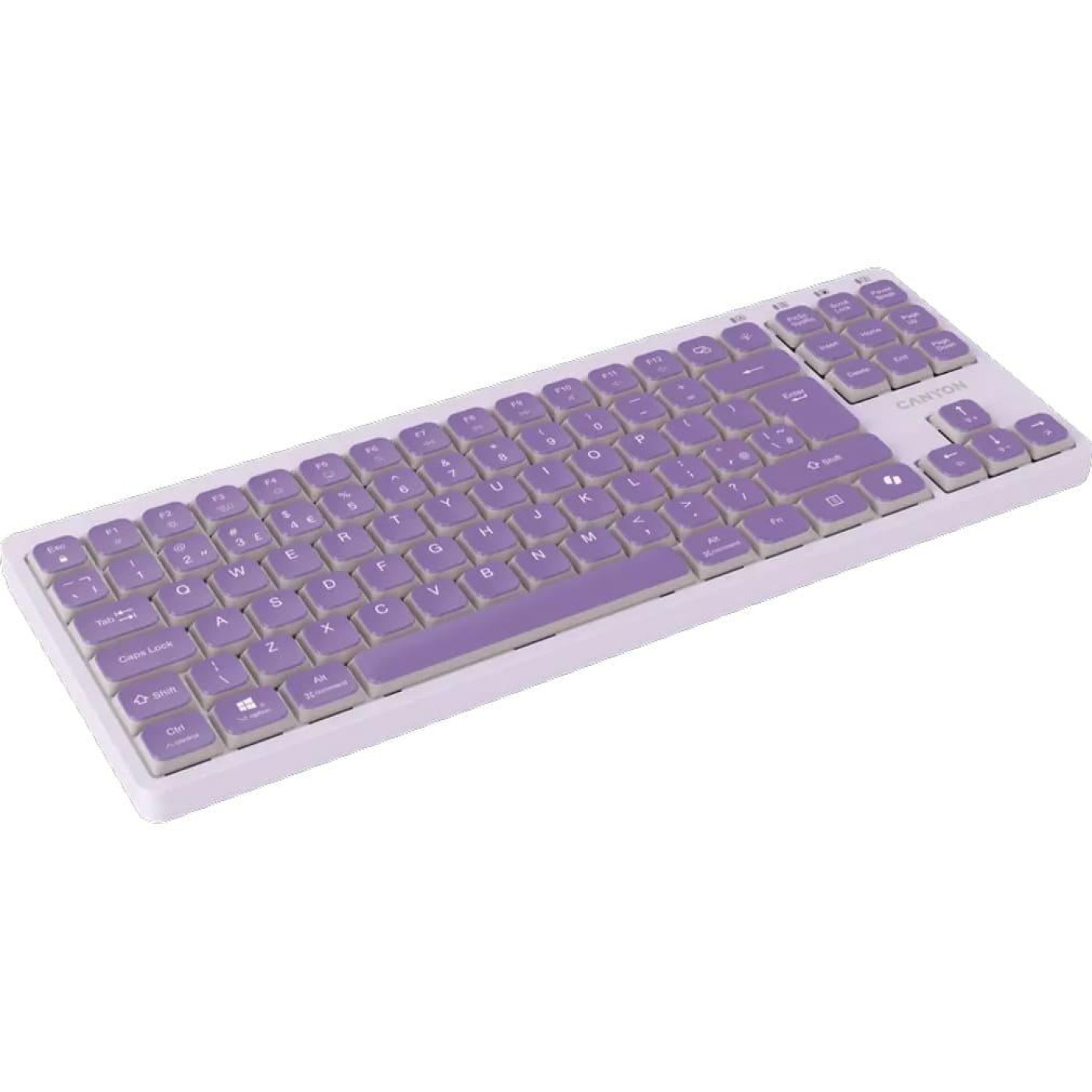 Клавіатура Canyon Keyboard OnType 10 Low Profile EN Wired Violet (CNS-HKB10V)