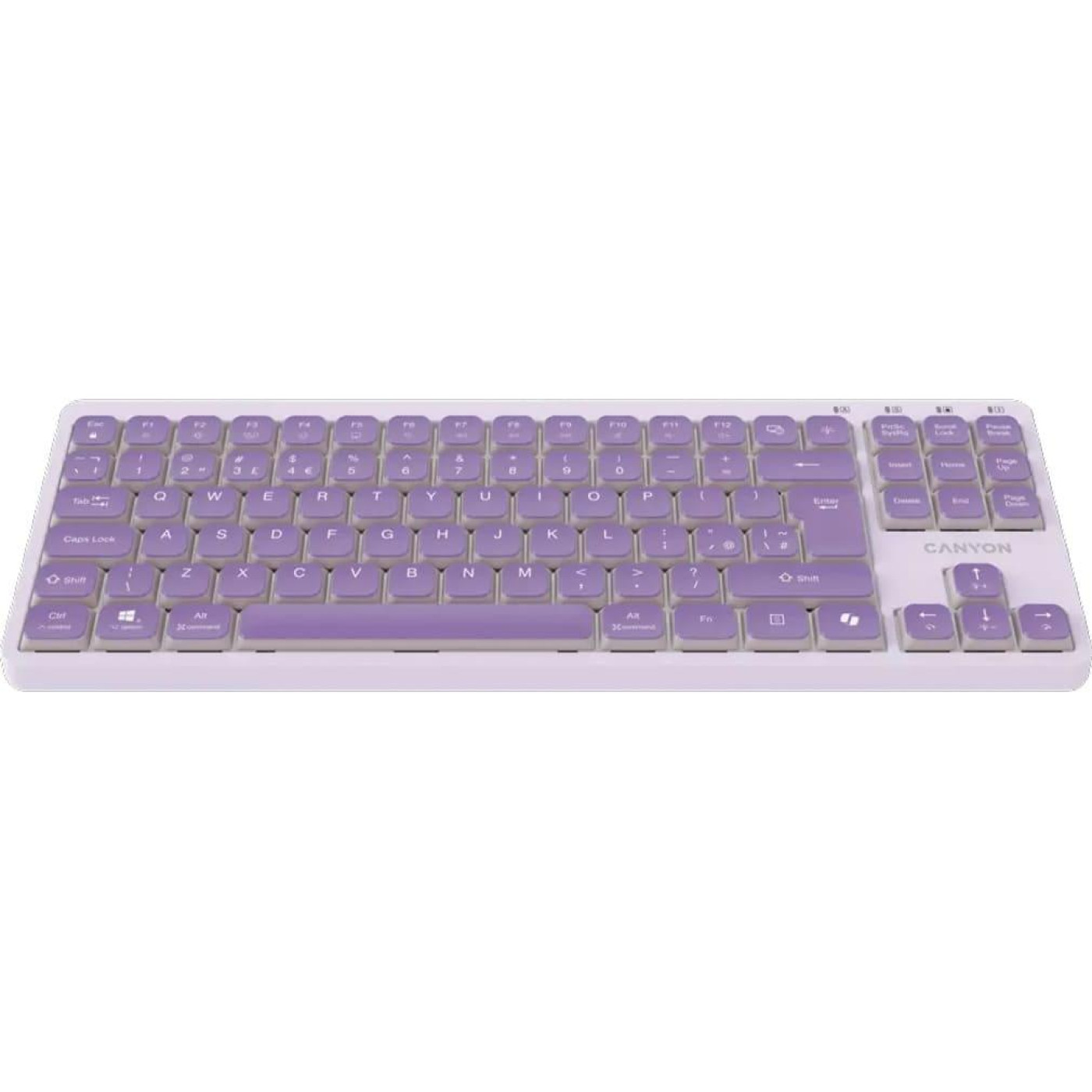 Клавіатура Canyon Keyboard OnType 10 Low Profile EN Wired Violet (CNS-HKB10V)