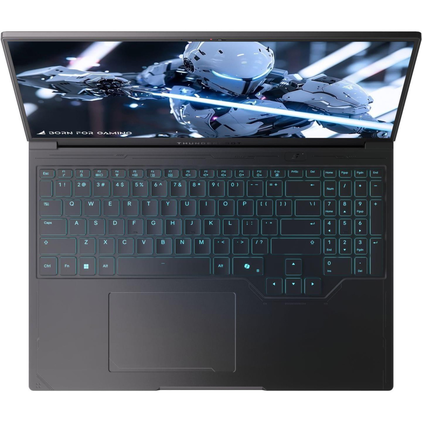 Ноутбук Thunderobot 16 RS16 2560x1600 IPS/Intel Core i9-13900HX/16GB/1TB/RTX 5070 8GB/DOS/Black (RS16-i9139HX57C1Q240ARB)