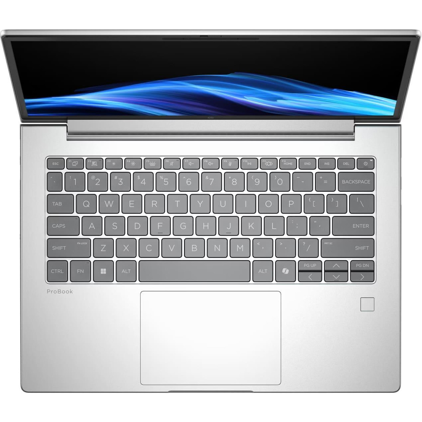 Ноутбук HP 14 ProBook 4 G1i FHD+/Intel U7-255U/16GB/512 SSD/Intel Graphics/DOS/Aluminum (D0VG6ET)