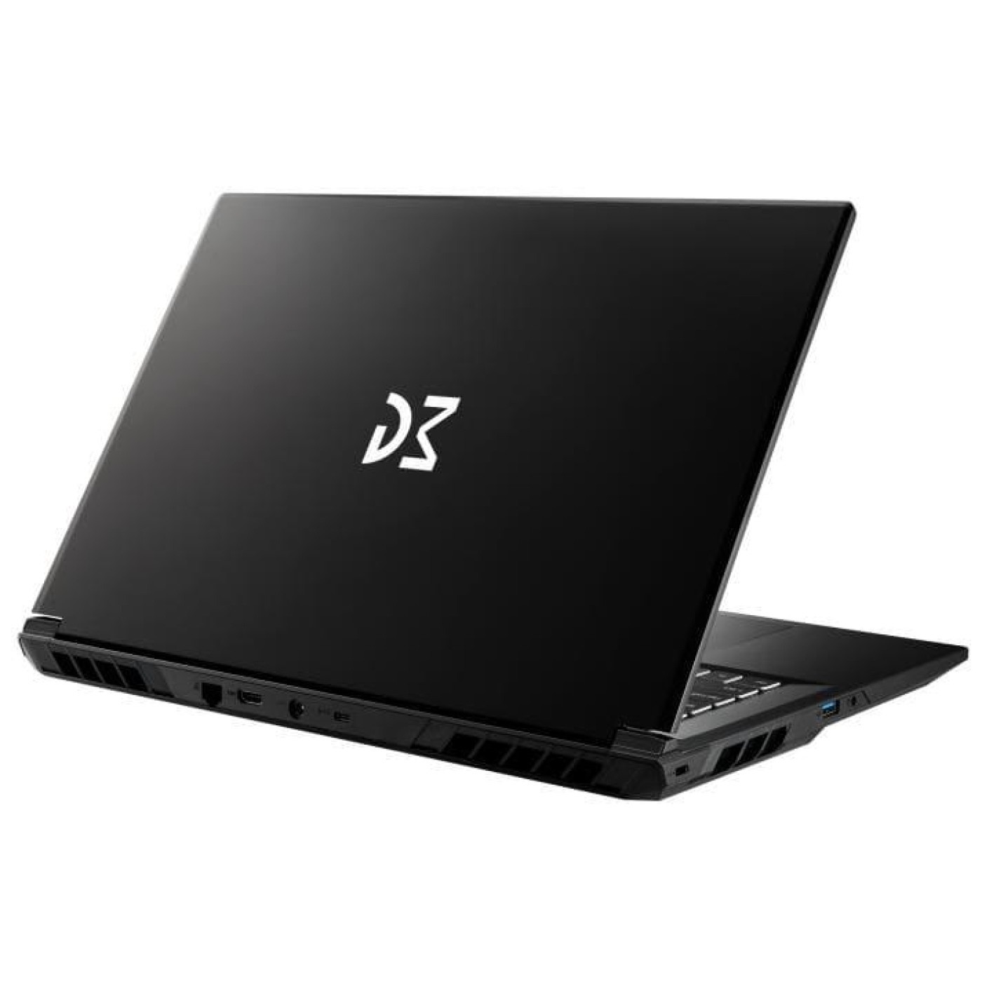 Ноутбук Dream Machines 17 RG5050-17 FHD IPS/i9-14900HX/32GB/2TB/RTX 5050 8GB/DOS/Black (RG5050-17UA25)