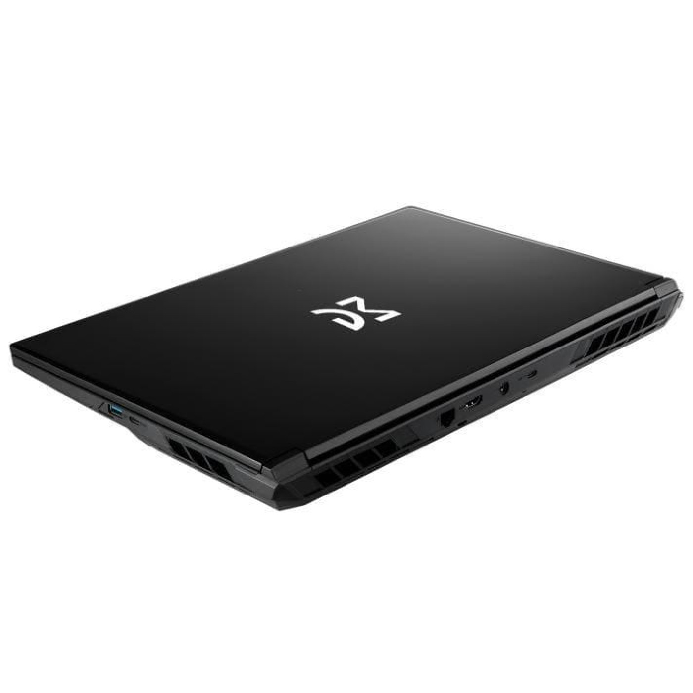 Ноутбук Dream Machines 17 RG5060-17 FHD IPS/i9-14900HX/32GB/1TB/RTX 5060 8GB/DOS/Black (RG5060-17UA21)