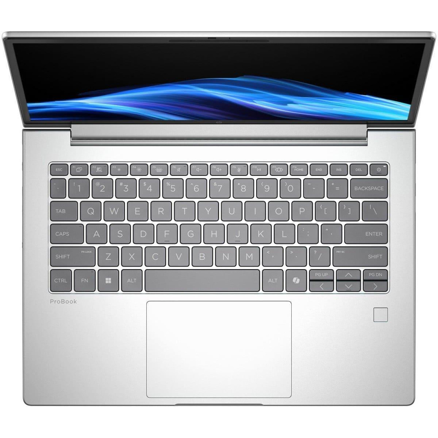 Ноутбук HP 14 ProBook 4 G1i WUXGA IPS/Intel U7-255H/24GB/512SSD/RTX 3050 4GB/DOS (B1AZ7AV_V5)