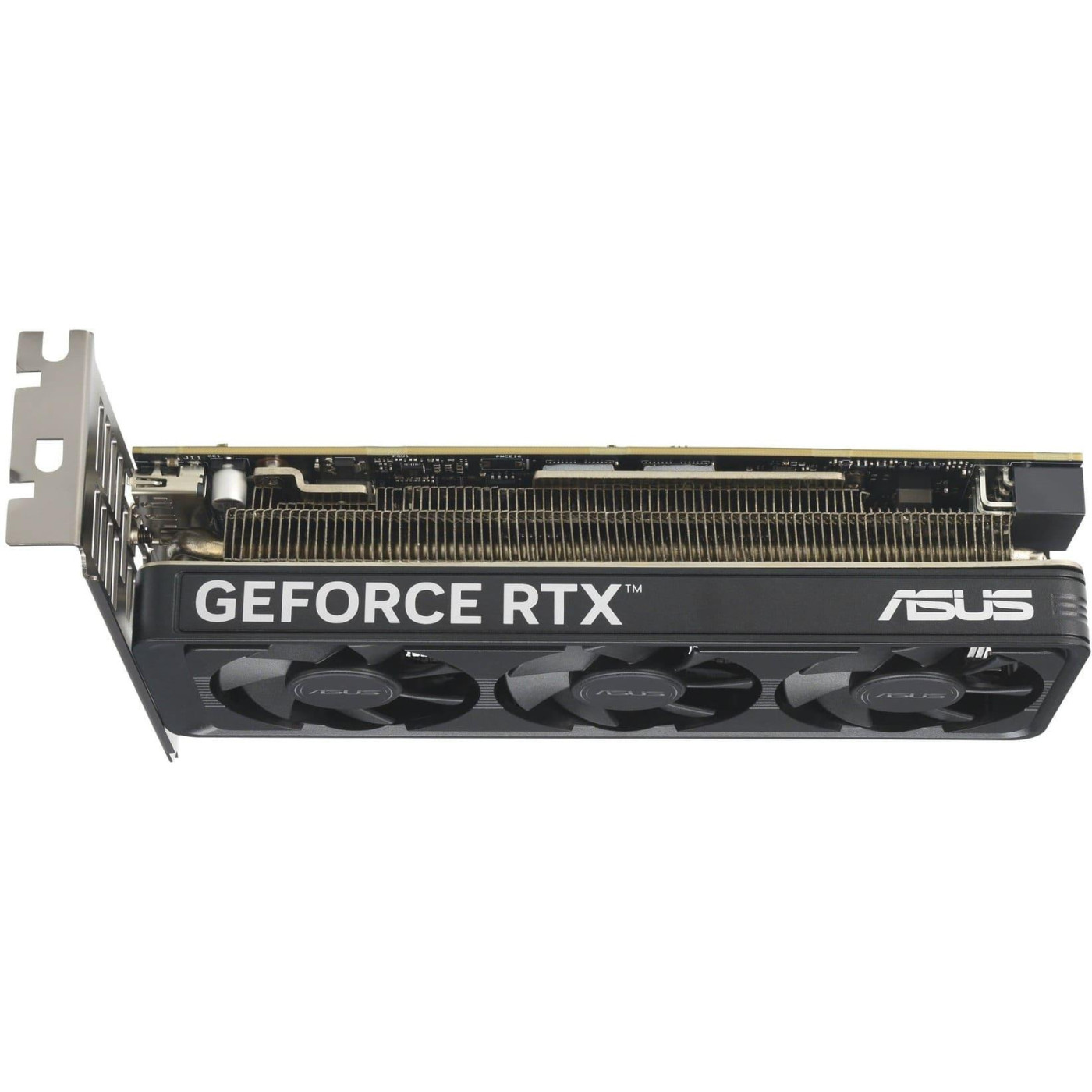 Видеокарта ASUS RTX 5060 8GB LP BRK OC (RTX5060-O8G-LP-BRK) (GDDR7, 128 bit, PCI-E v5.0 x16)