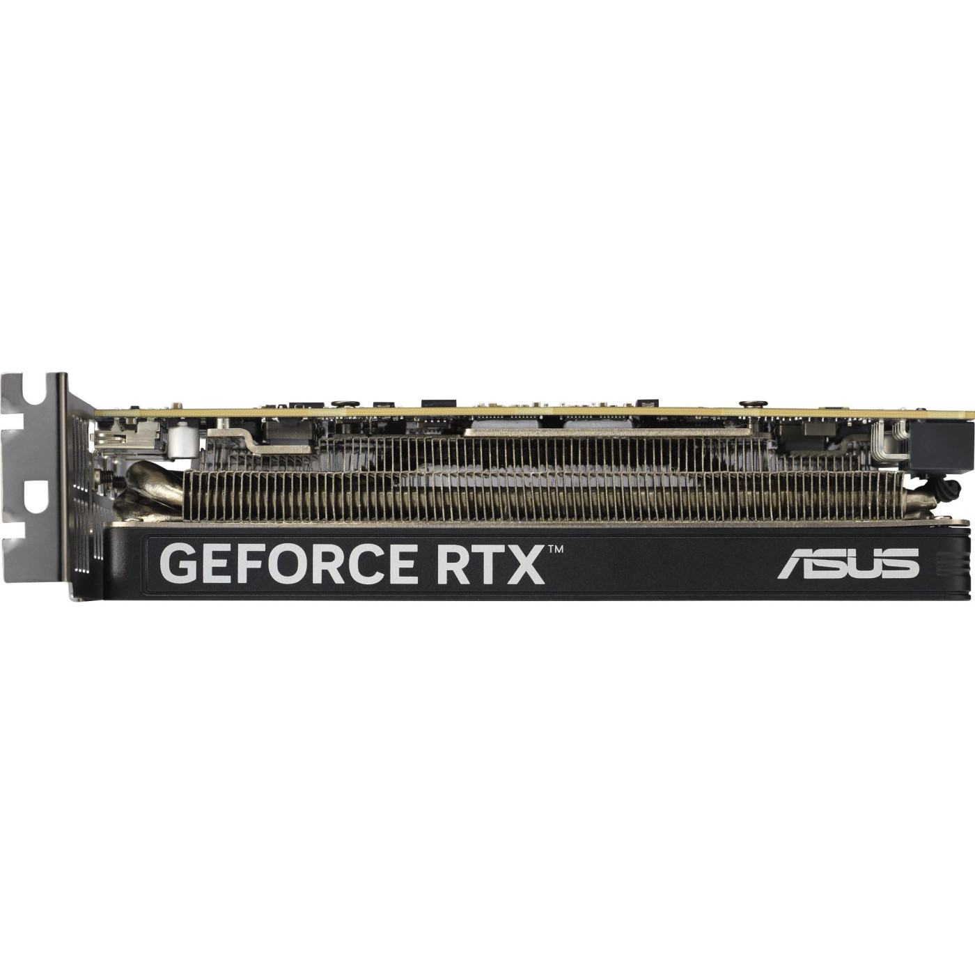 Відеокарта ASUS RTX 5060 8GB LP BRK OC (RTX5060-O8G-LP-BRK) (GDDR7, 128 bit, PCI-E v5.0 x16)