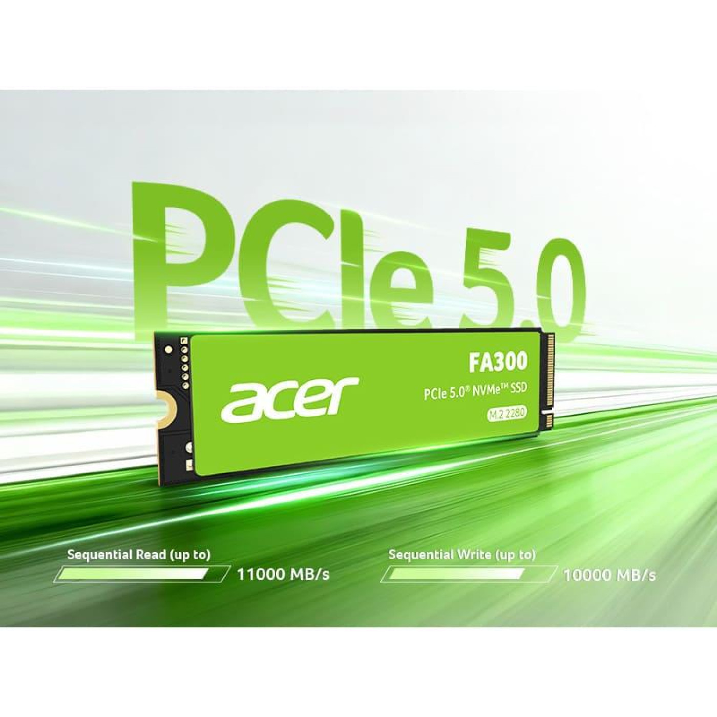 Накопитель SSD Acer m.2 NVMe 1Tb FA300 PCIe 5x4 3D NAND (BL.9BWWA.167)