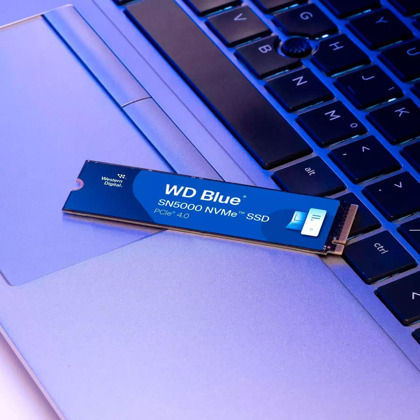 Накопичувач SSD Western Digital m.2 NVMe 1TB WD Blue SN5000 PCIe 4.0х4 (WDS100T4B0E-00CNZ0)