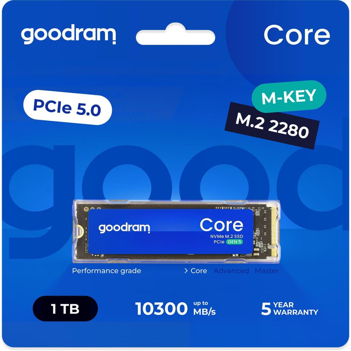 Накопичувач SSD GoodRam m.2 NVMe 1TB Core PCIe 5.0 x4 3D NAND (SSDR-GRC01-1K0-80)