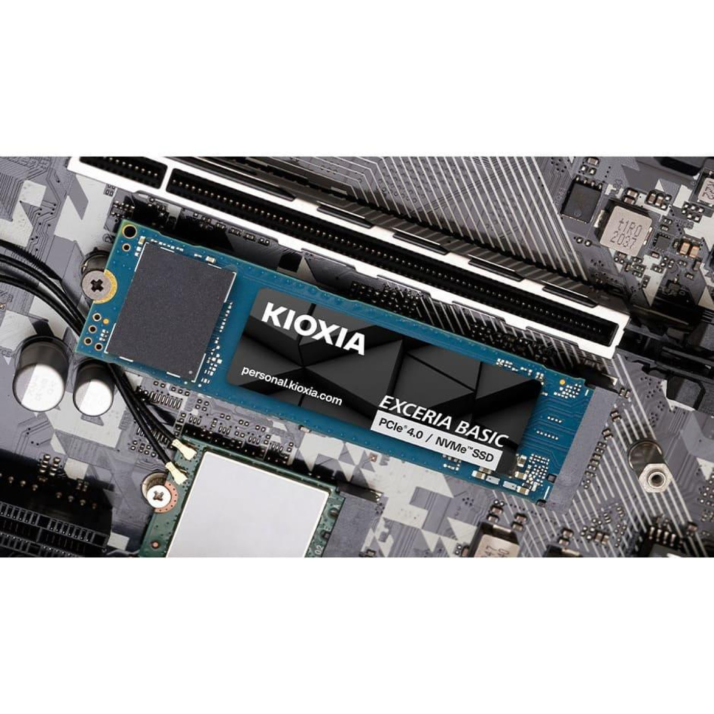 Накопичувач SSD Kioxia m.2 NVMe 1TB Exceria Basic 4.0 (LSF10Z001TG8)