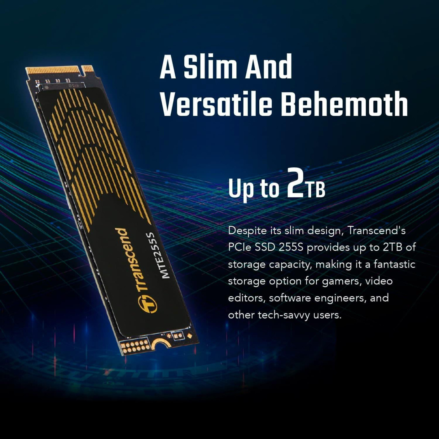Накопитель SSD Transcend m.2 NVMe 1TB PCIe 4.0x4 3D NAND (TS1TMTE255S)