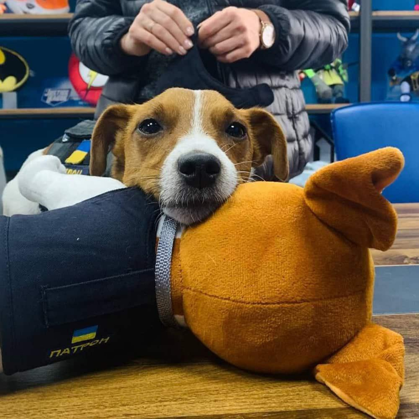 Іграшка плюшева WP MERCHANDISE пес Патрон