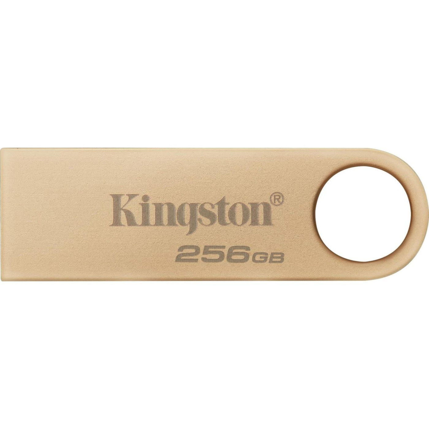 Флеш-накопичувач Kingston 256GB USB 3.2 Type-A DT SE9 G3 (DTSE9G3/256GB)