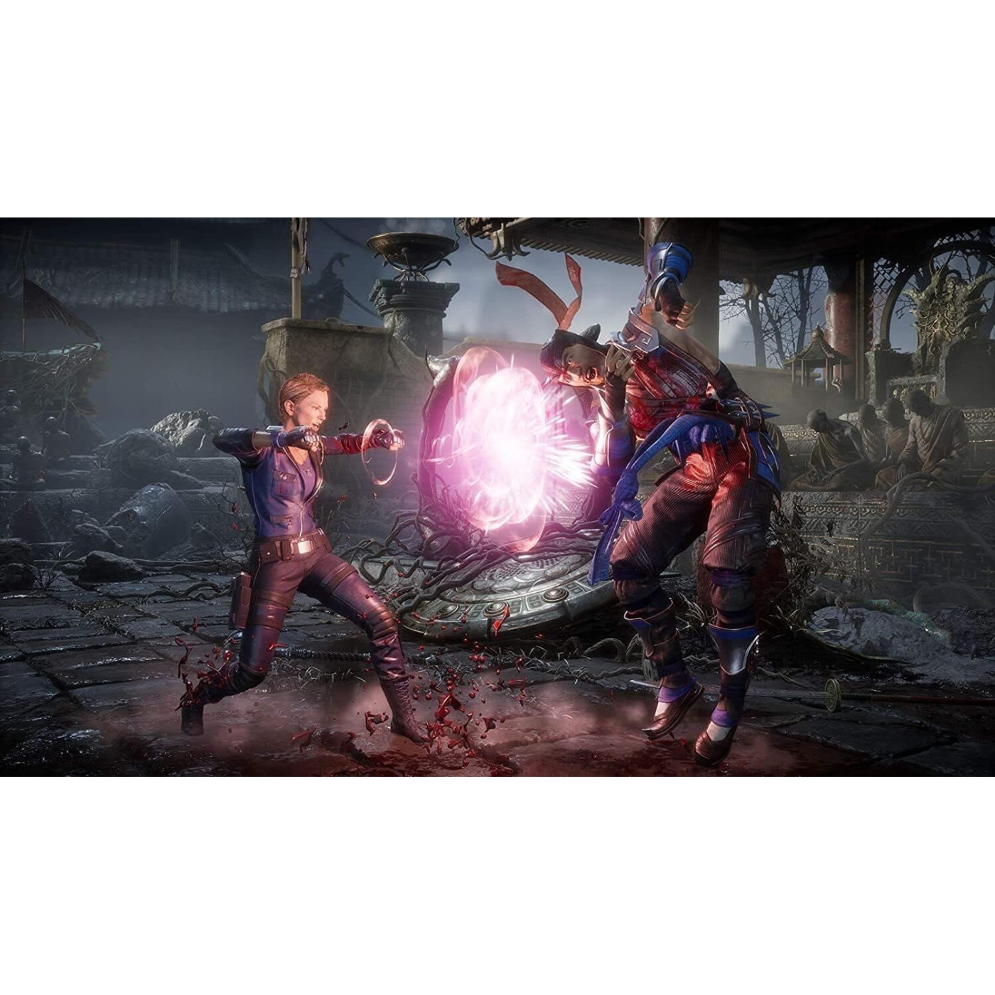 Гра PS4 Mortal Kombat 11 (2221566)