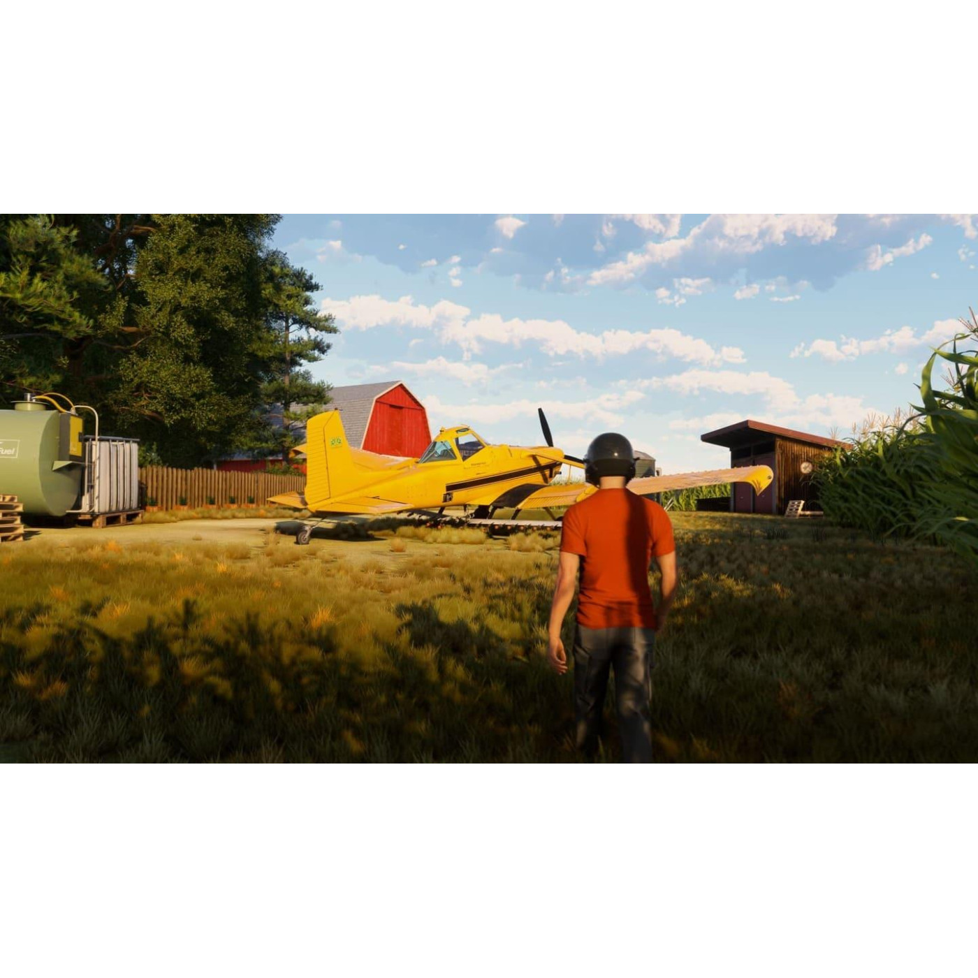 Игра PS5 Microsoft Flight Simulator 2024 (1187140)