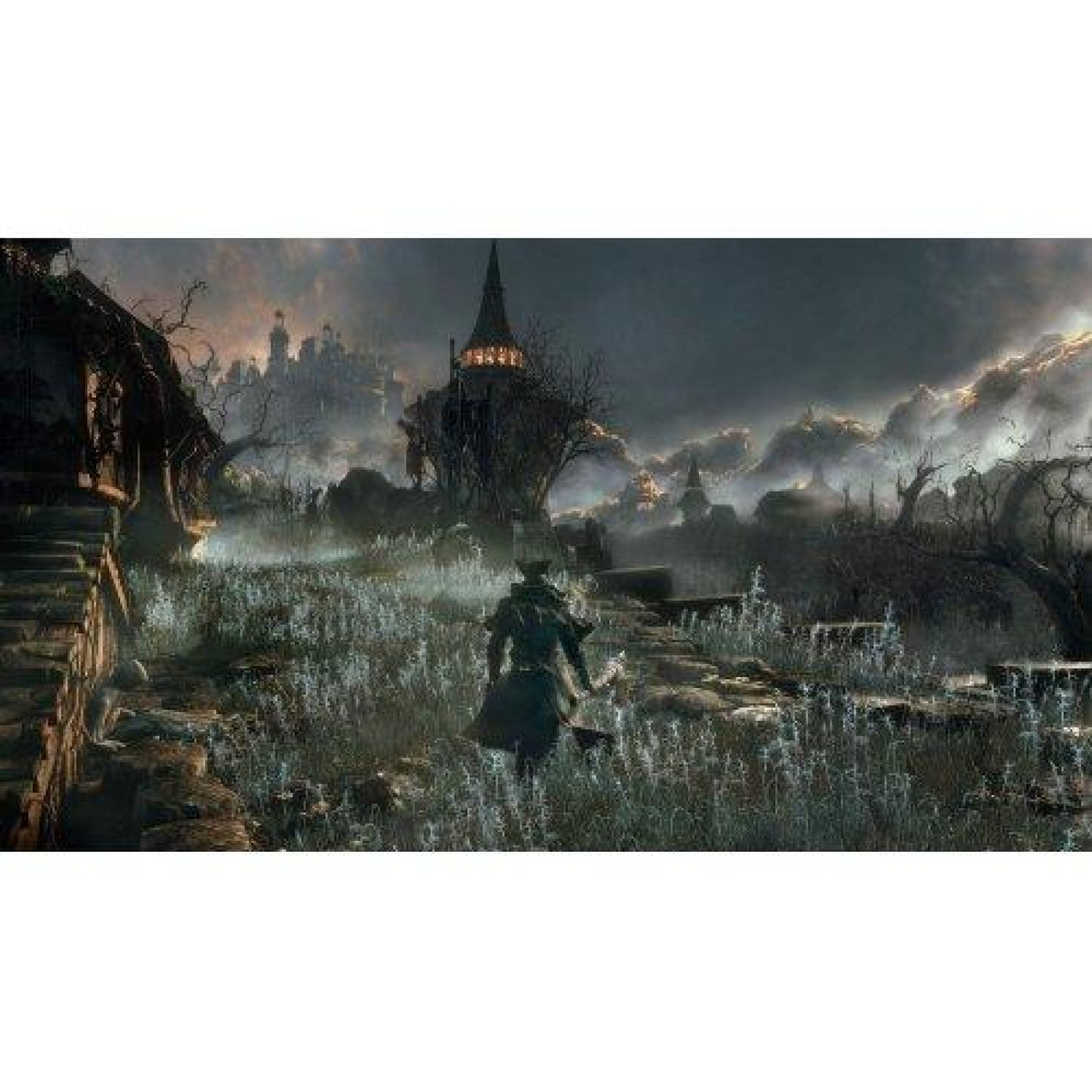 Игра PS4 Bloodborne (9701194)