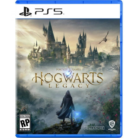 Гра PS5 Hogwarts Legacy (5051895413425)