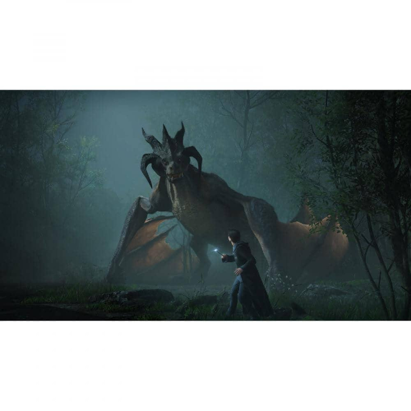 Гра PS5 Hogwarts Legacy (5051895413425)