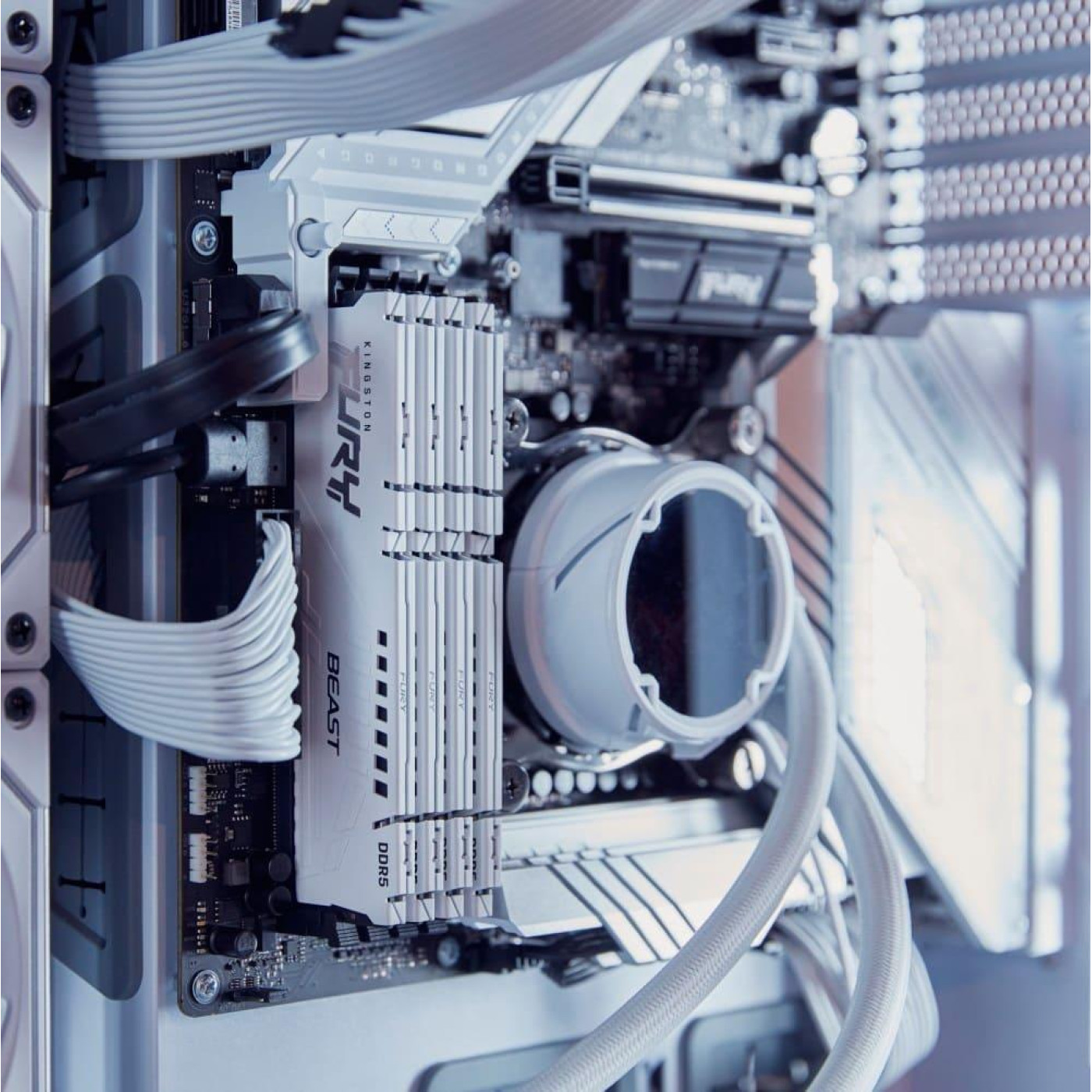 Модуль пам'яті Kingston Fury DDR5 32GB 6000MHz Beast White EXPO (KF560C30BWE-32)