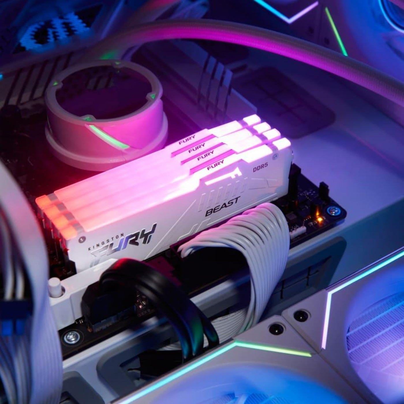 Модуль пам'яті Kingston Fury DDR5 32GB 6000MHz Beast White RGB XMP (KF560C30BWA-32)