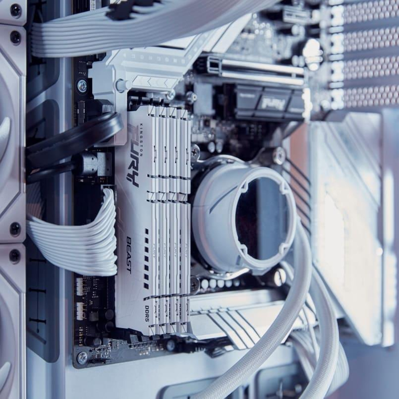 Модуль пам'яті Kingston Fury DDR5 32Gb (2x16) 6000MHz Beast White EXPO/XMP (KF560C36BWE2K2-32)