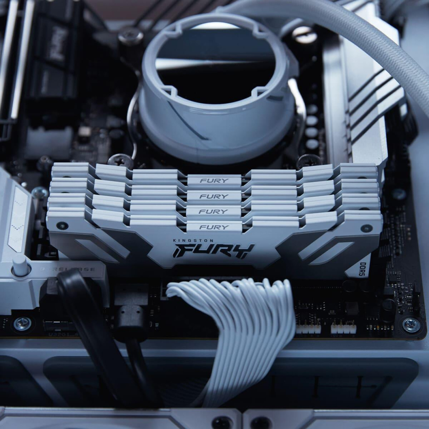 Модуль пам'яті Kingston Fury DDR5 32GB (2x16) Renegade 8000MHz White XMP (KF580C38RWK2-32)