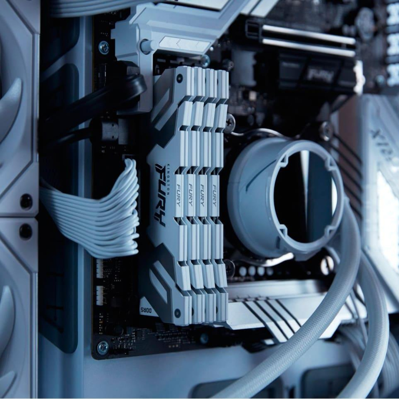 Модуль пам'яті Kingston Fury DDR5 16GB Renegade 8000MHz White XMP (KF580C38RW-16)