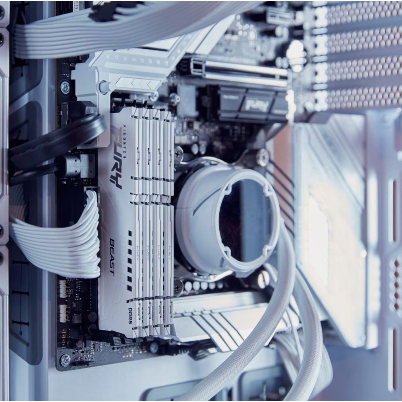 Модуль пам'яті Kingston Fury DDR5 128GB (4x32) Beast 5600MHz White XMP (KF556C40BWK4-128)