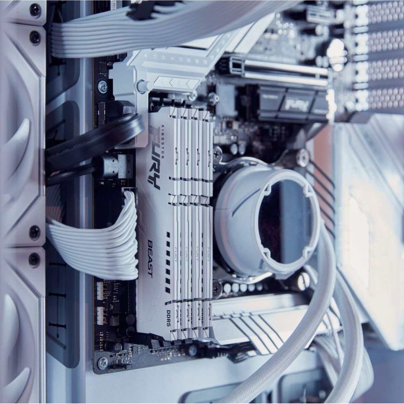 Модуль пам'яті Kingston Fury DDR5 16GB Beast 5600MHz White XMP (KF556C40BW-16)