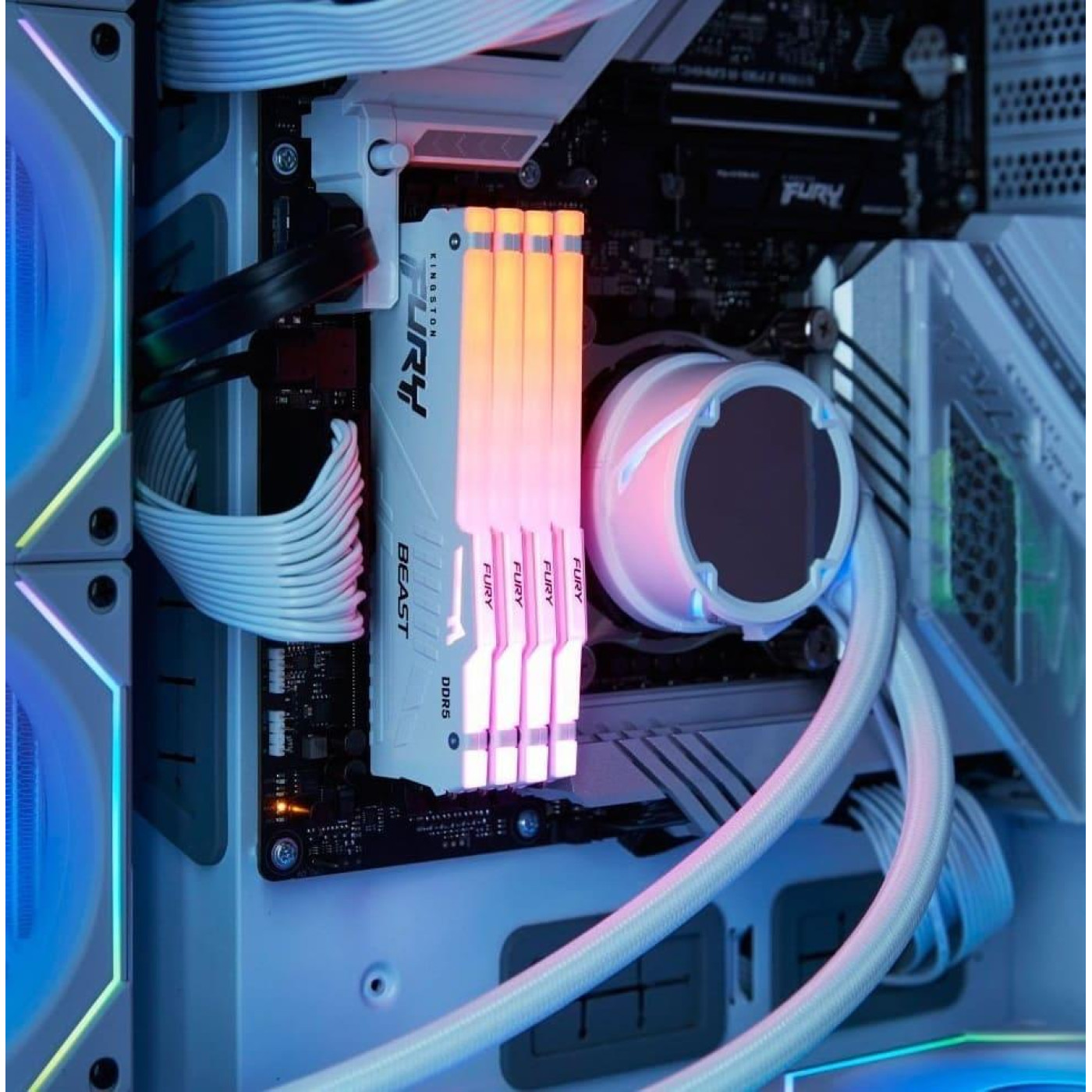 Модуль пам'яті Kingston Fury DDR5 32GB (2x16) 5600MHz Beast White RGB XMP (KF556C40BWAK2-32)