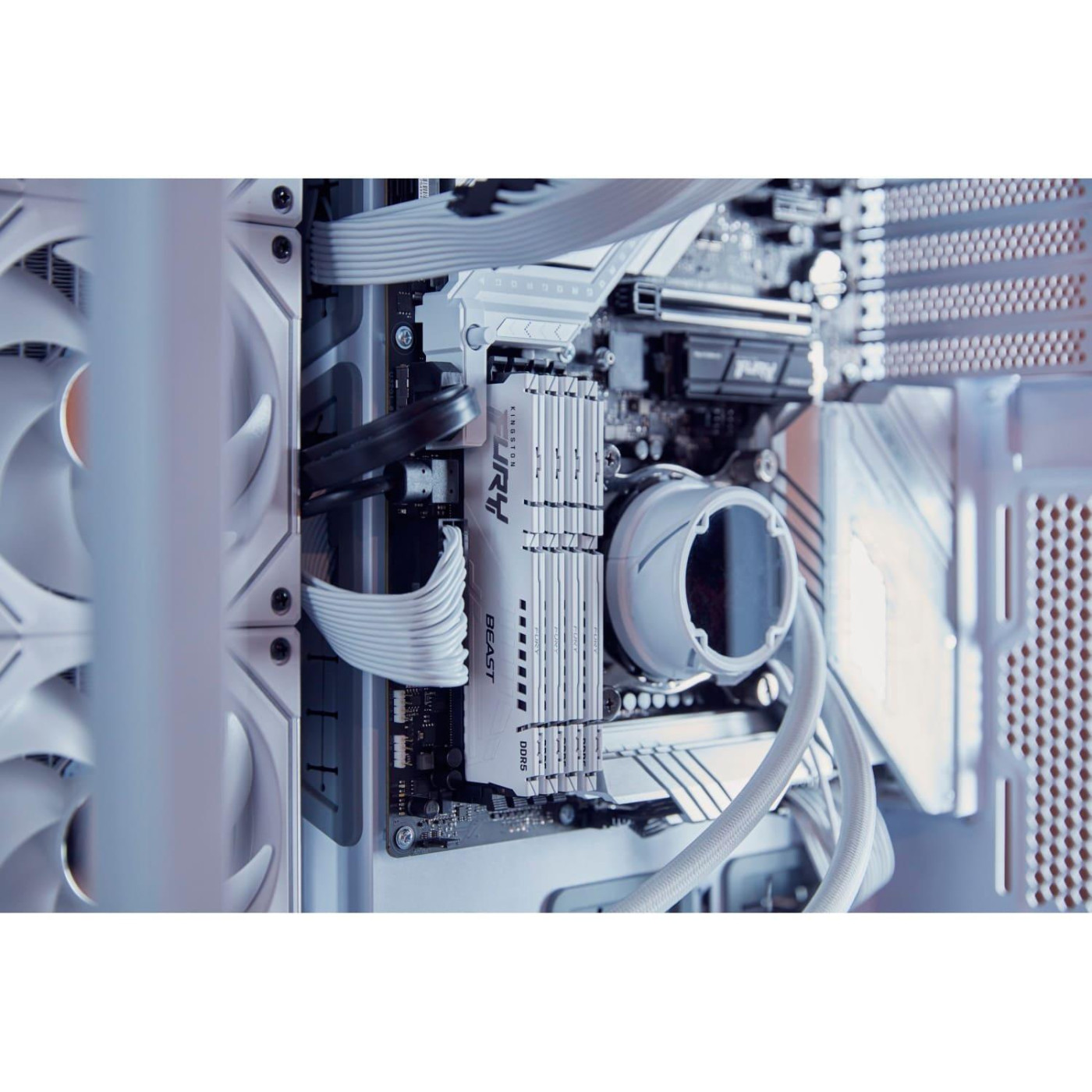 Модуль пам'яті Kingston Fury DDR5 16GB 6000Mhz Beast White EXPO  (KF560C36BWE2K2-32 (Kit 1 of 2) Б/в