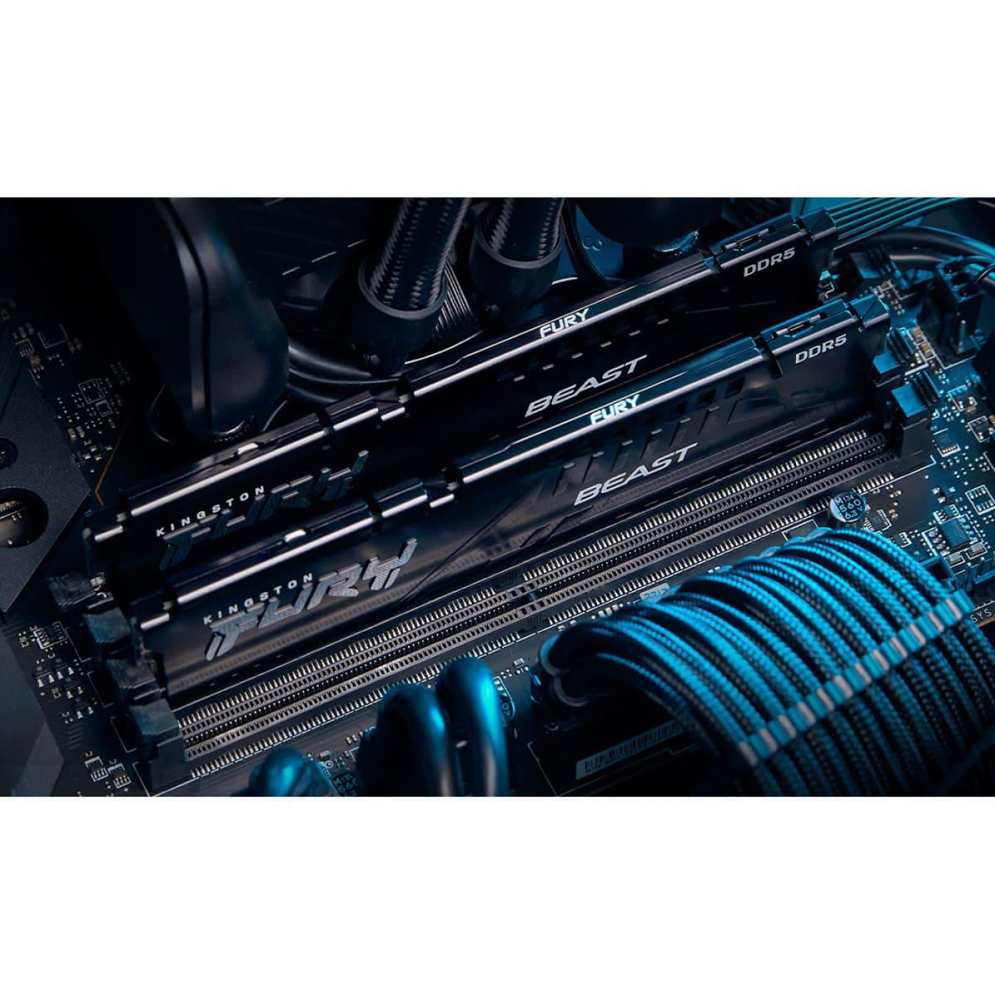 Модуль памяти Kingston Fury DDR5 32GB 6000MHz Beast Black AMD EXPO/XMP 3.0 (KF560C36BBE-32)