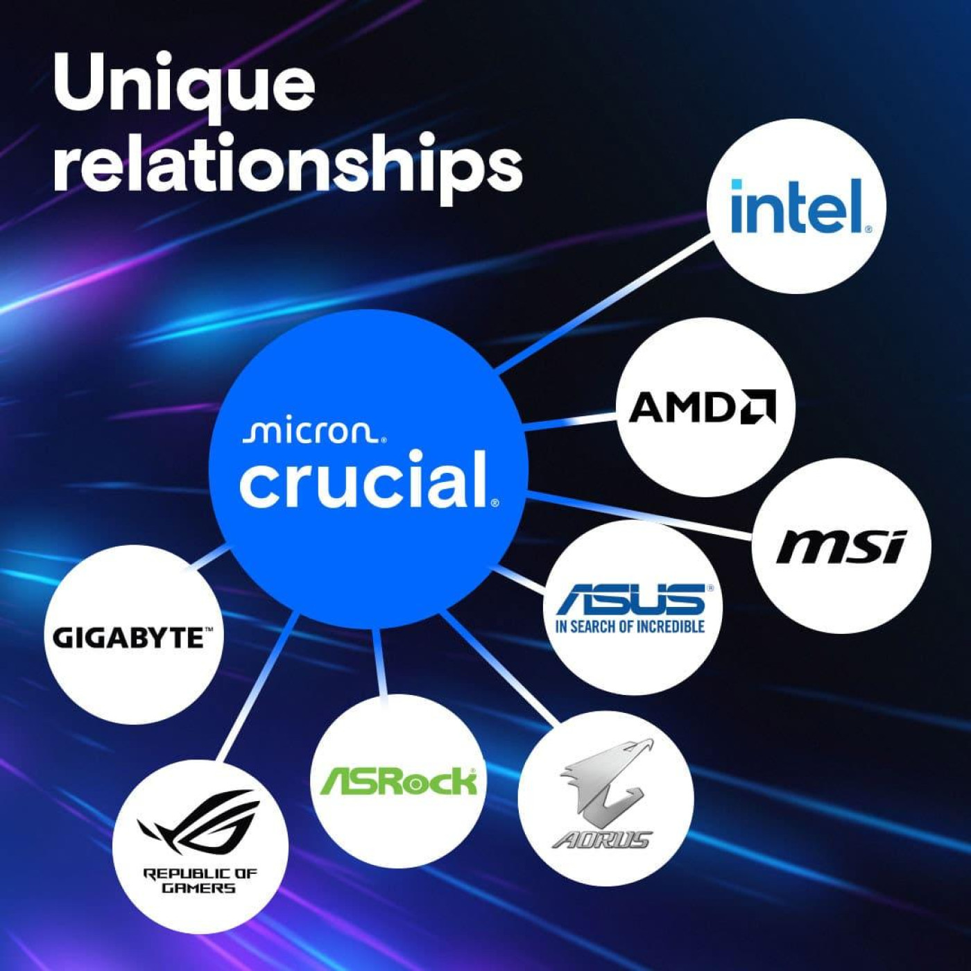 Модуль пам'яті Crucial DDR5 48Gb (2x24) Pro 5600MHz CL46 (CP48G56C46U5) Б/в,U1